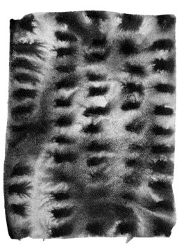 odyssée khorsandian